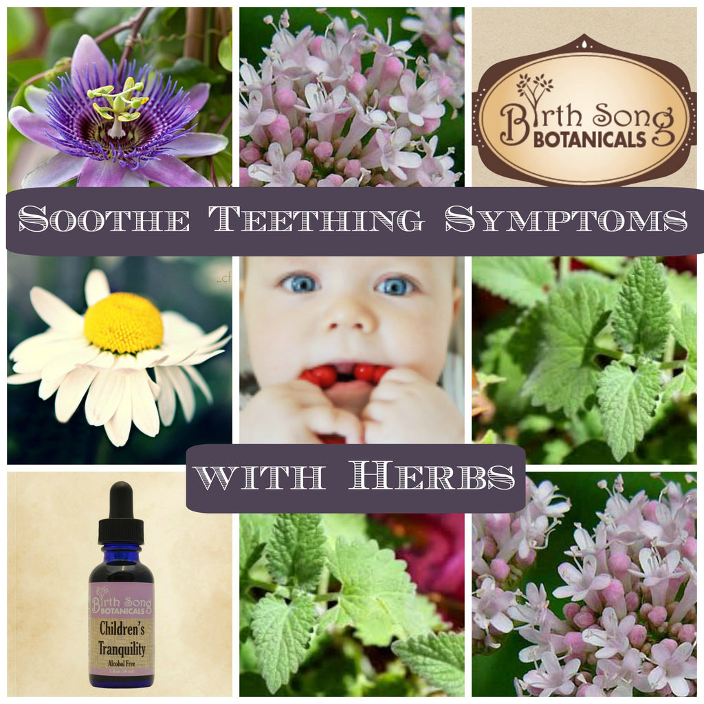 4 Herbs that Soothe Teething Symptoms