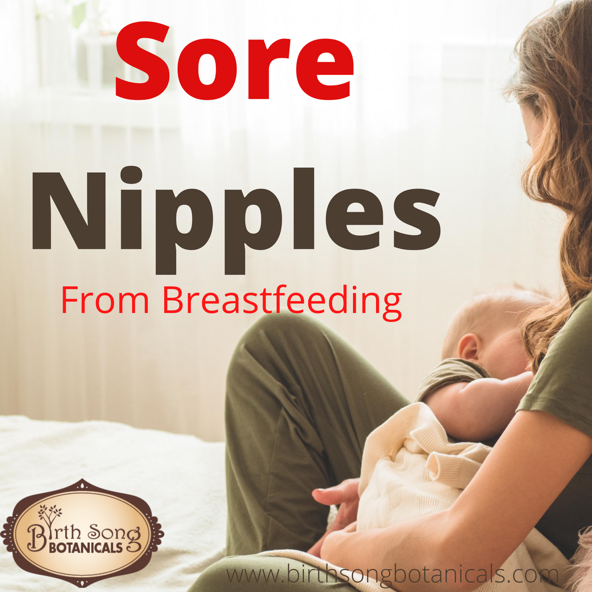 https://www.birthsongbotanicals.com/cdn/shop/articles/Sore_Nipples_1200x1200.png?v=1595626468