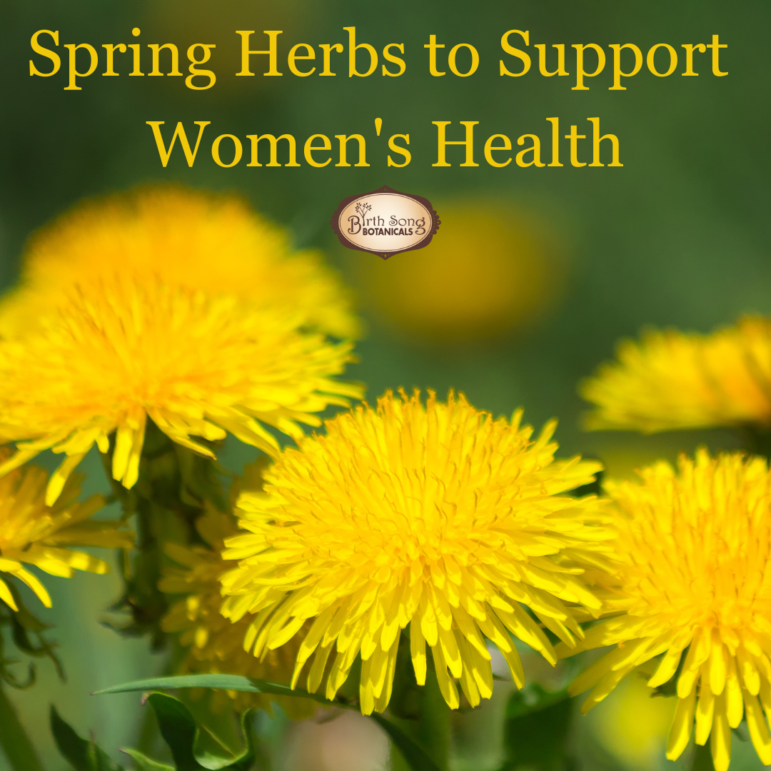 Spring Herbs to Support Women's Health– Birth Song Botanicals Co.