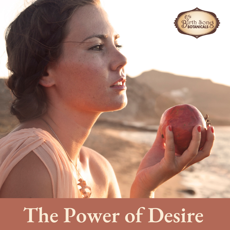 The Power of Desire. What Do You Truly Desire?