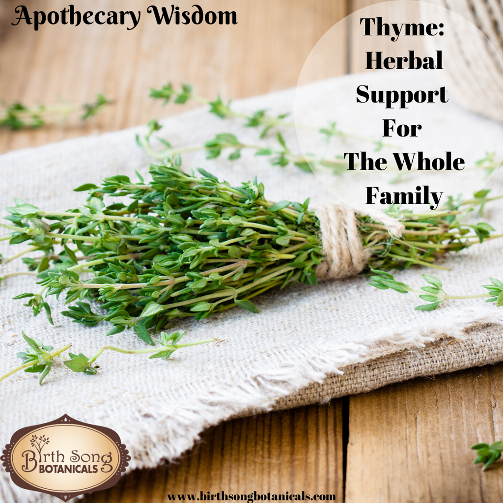 Thyme: Herbal Support For The Whole Family