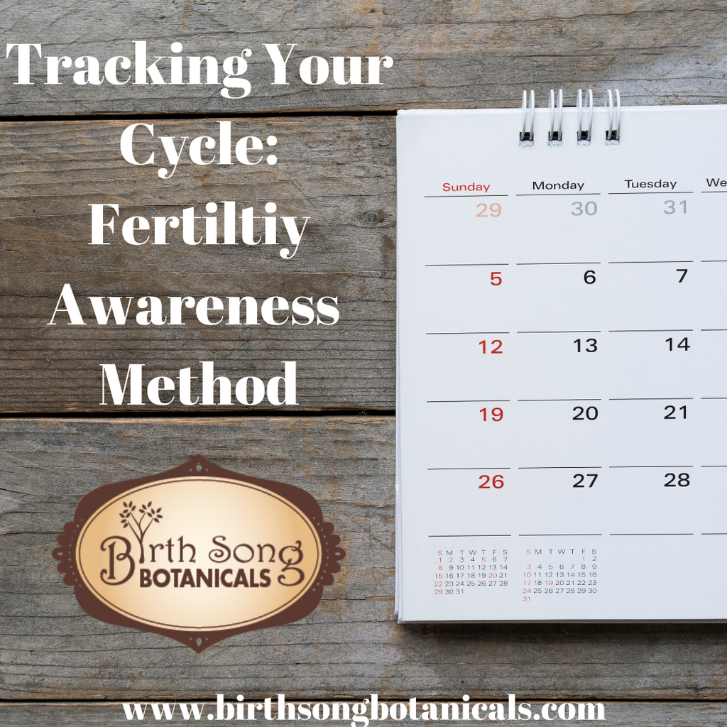 Tracking Your Cycle: With The Fertility Awareness Method