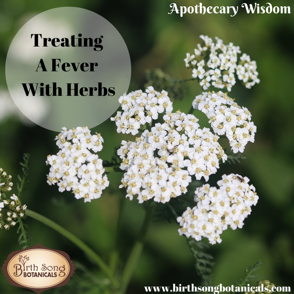 Treating A Fever With Herbs