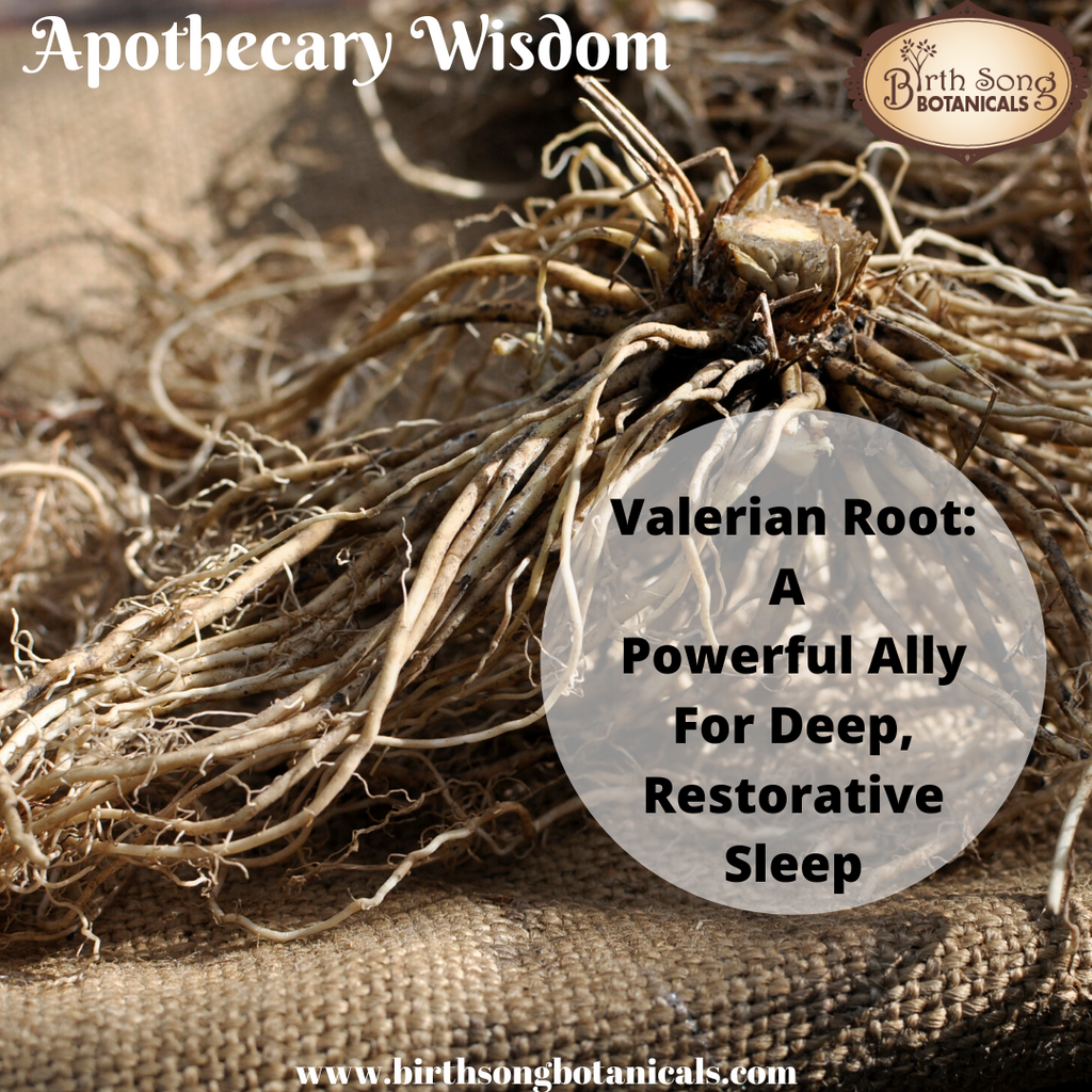 Valerian Root: A Powerful Ally For Deep, Restorative Sleep