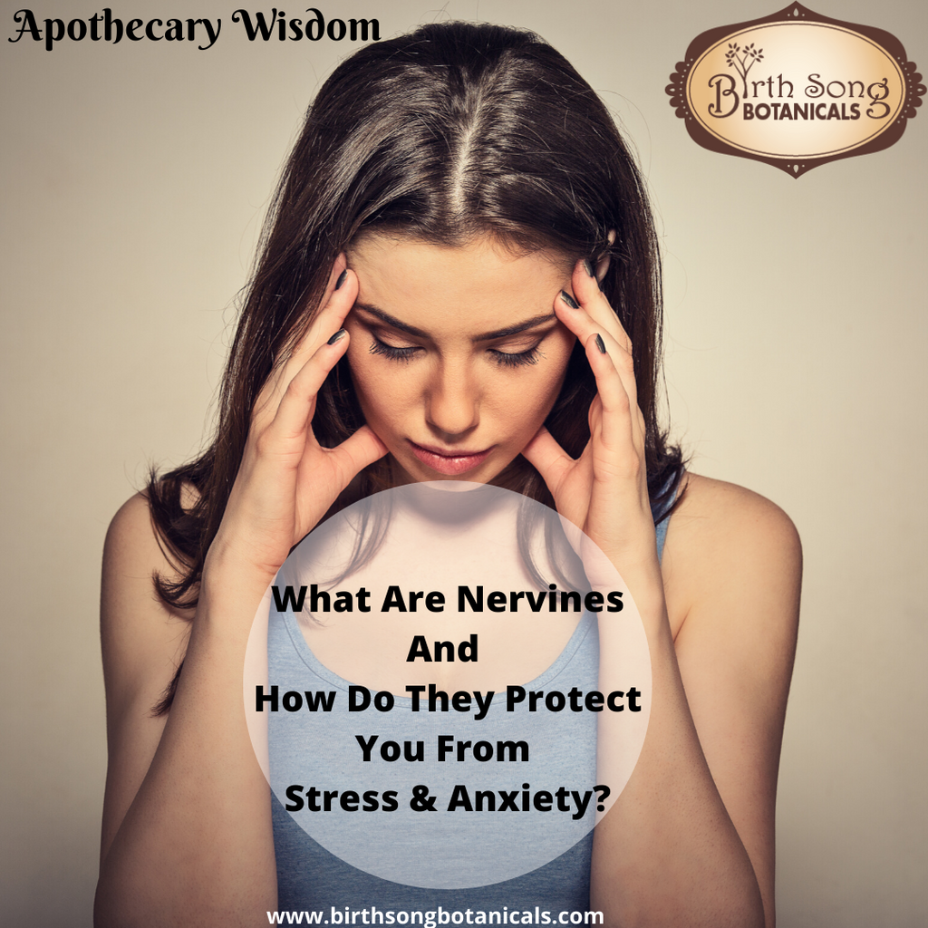 What Are Nervines And How Do They Protect You From Stress And Anxiety?