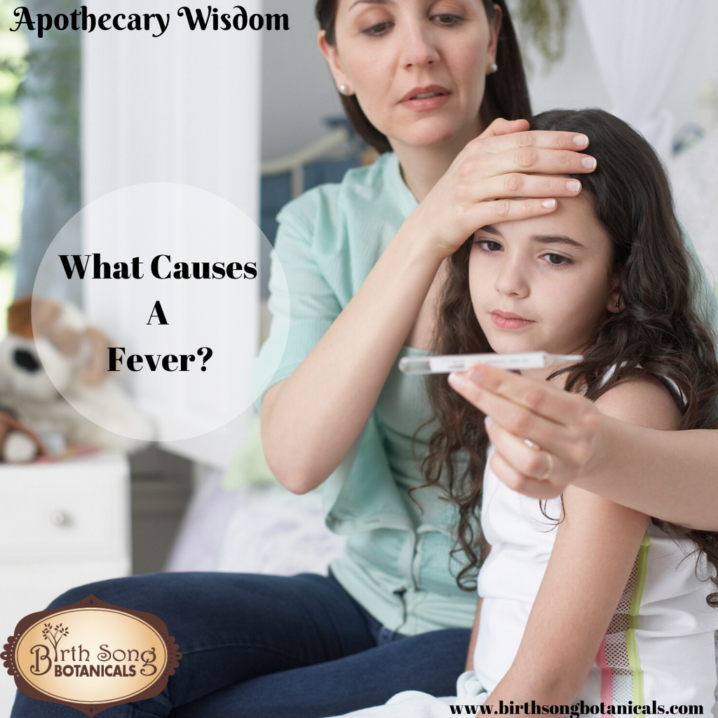 What Causes A Fever?