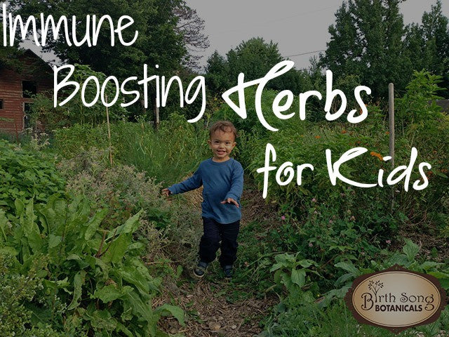 Immune Boosting Herbs for Kids