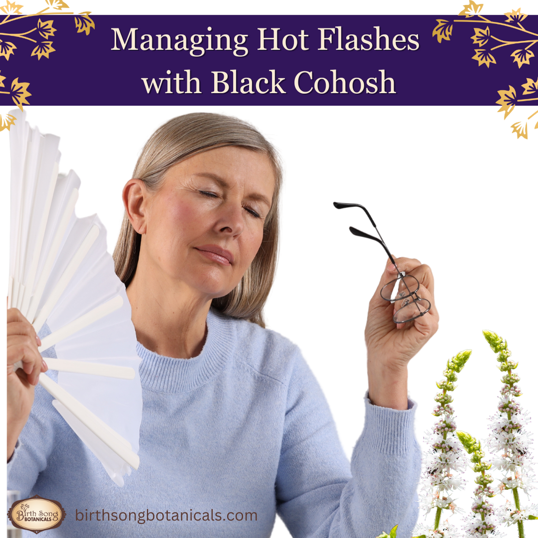 Black Cohosh for Hot Flashes in Menopause Birth Song Botanicals Co.