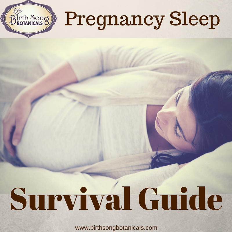 Pregnancy Sleep Survival Guide