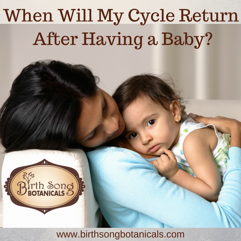 menstrual cycle while breastfeeding