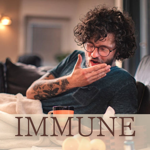 Immune Support Collection