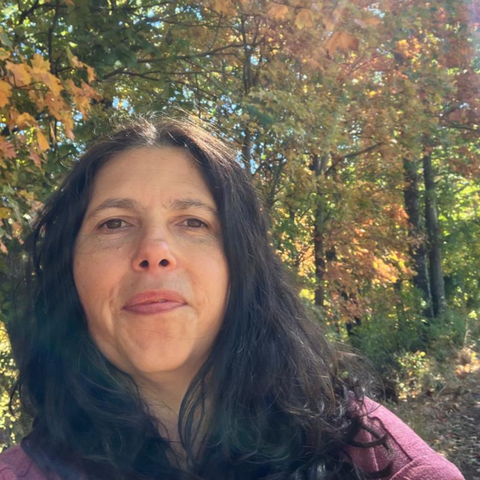 Perimenopause and Menopause