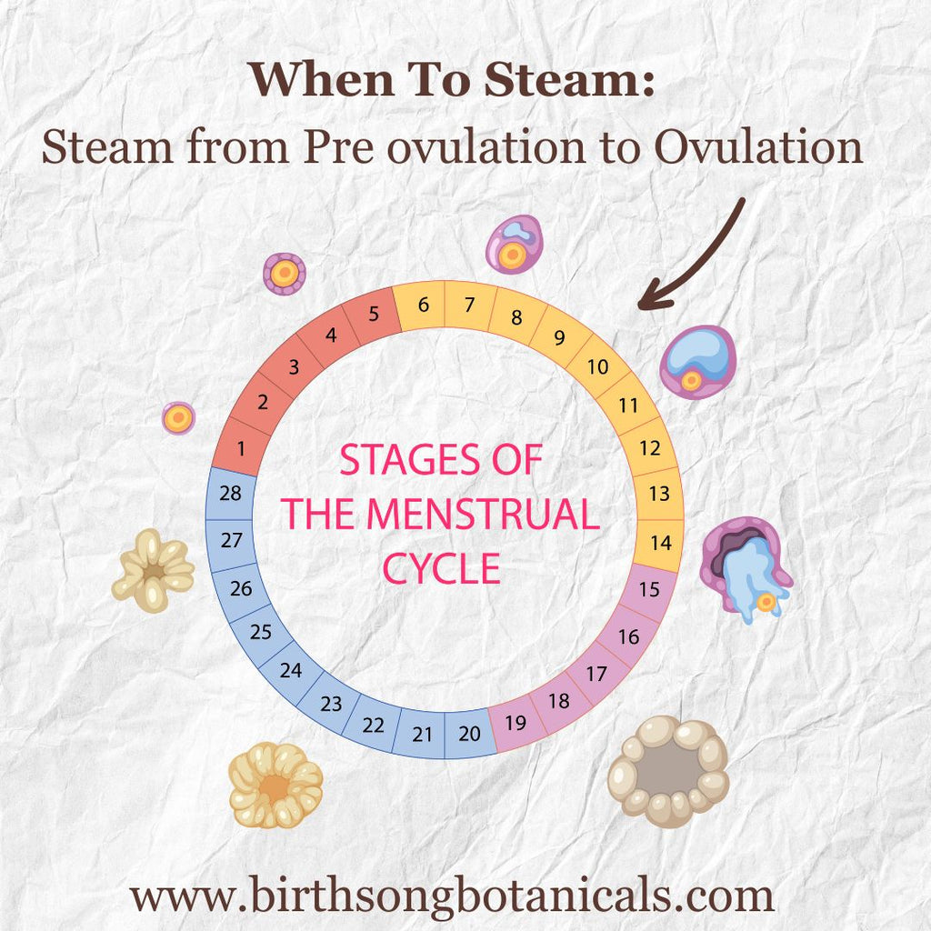 V steam for fertility Yoni steam herbs 
