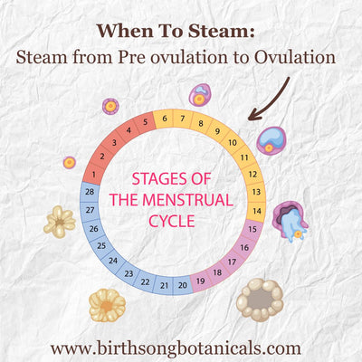 Yoni Steam Herbal Fertility Blend For Womb Health– Birth Song ...