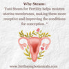 V steam for fertility Yoni steam herbs 