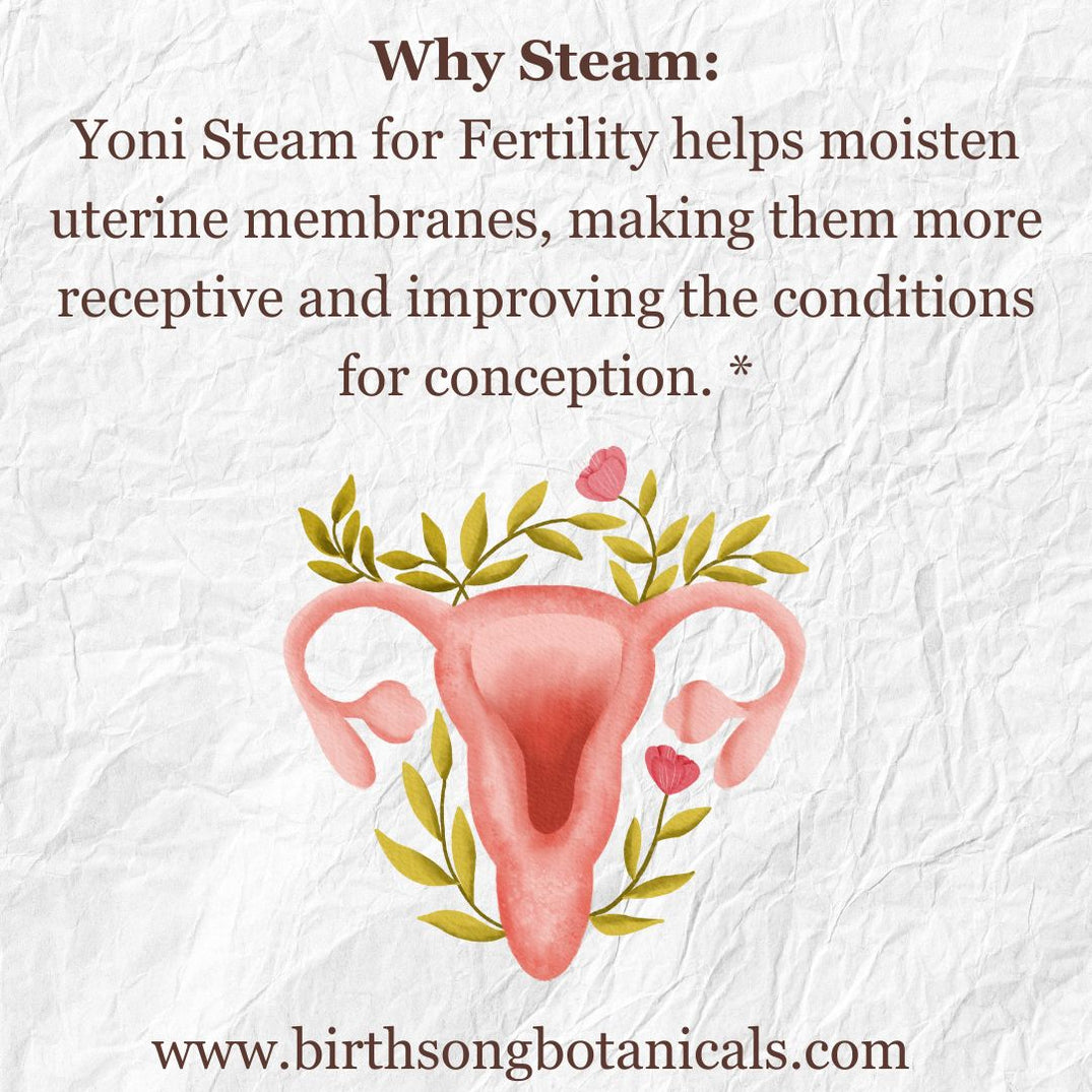 Yoni Steam Herbal Fertility Blend For Womb Health– Birth Song ...
