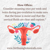 V steam for fertility Yoni steam herbs 