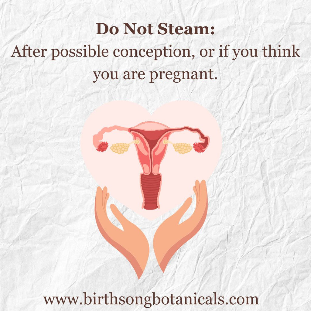 V steam for fertility Yoni steam herbs 
