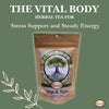 adaptogenic herbal tea, ashwagandha tea, stress support tea, herbal tea for anxiety, cortisol balance support, calm energy tea, hormone balance tea, herbal stress relief, daily wellness tea, immune support herbs, 