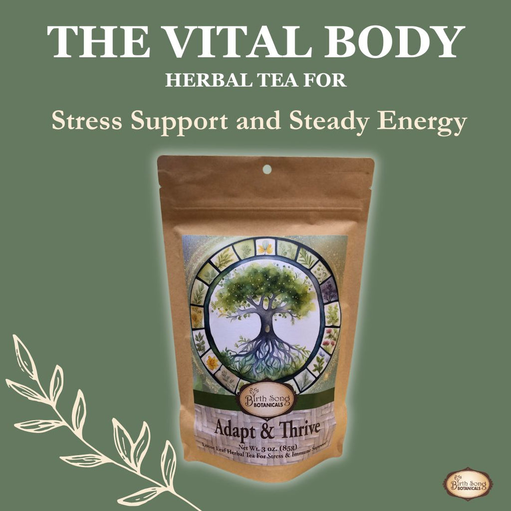 adaptogenic herbal tea, ashwagandha tea, stress support tea, herbal tea for anxiety, cortisol balance support, calm energy tea, hormone balance tea, herbal stress relief, daily wellness tea, immune support herbs, 