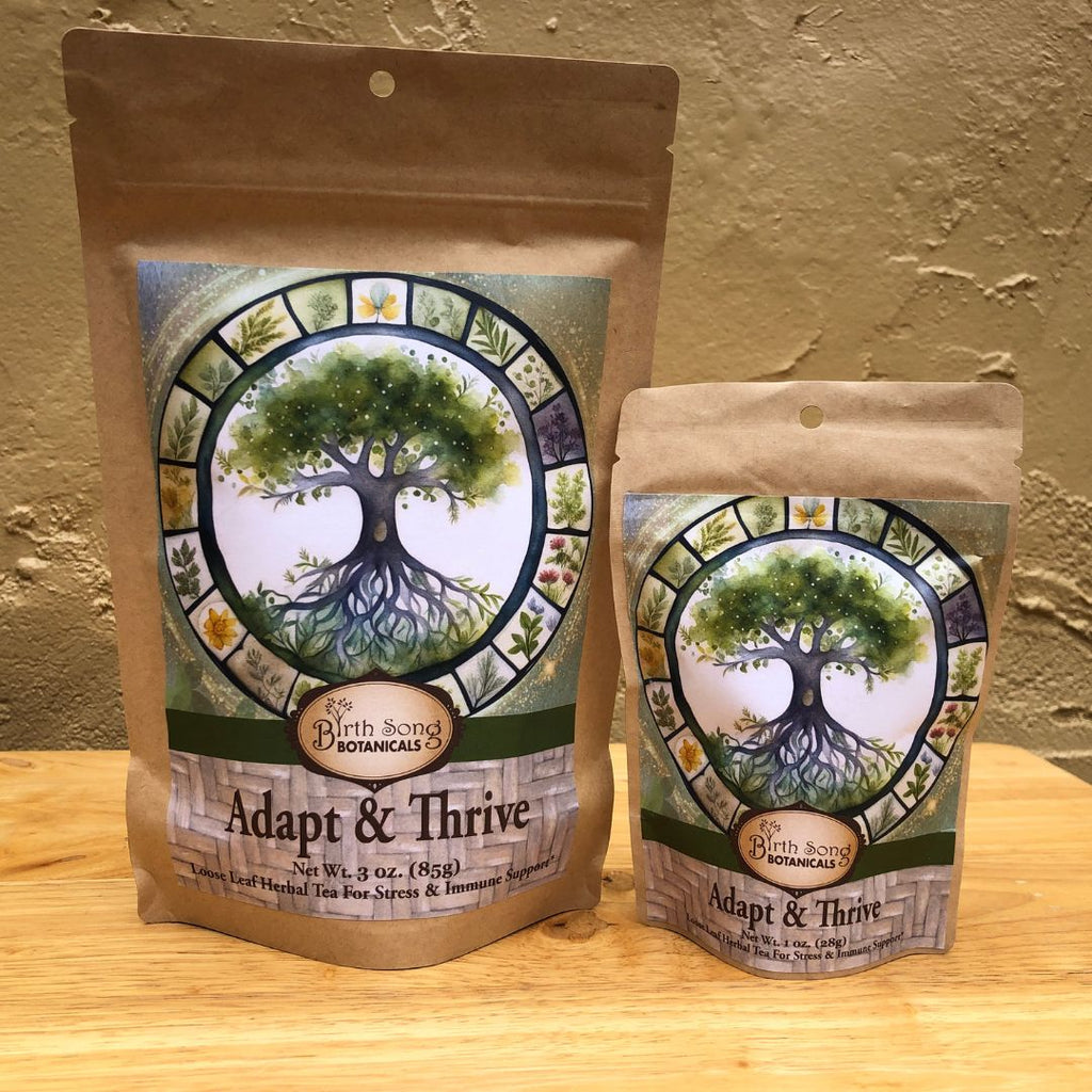 adaptogenic herbal tea, ashwagandha tea, stress support tea, herbal tea for anxiety, cortisol balance support, calm energy tea, hormone balance tea, herbal stress relief, daily wellness tea, immune support herbs, 