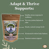 adaptogenic herbal tea, ashwagandha tea, stress support tea, herbal tea for anxiety, cortisol balance support, calm energy tea, hormone balance tea, herbal stress relief, daily wellness tea, immune support herbs, 