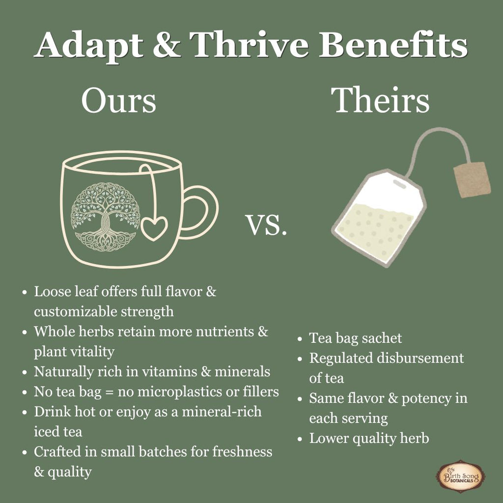 adaptogenic herbal tea, ashwagandha tea, stress support tea, herbal tea for anxiety, cortisol balance support, calm energy tea, hormone balance tea, herbal stress relief, daily wellness tea, immune support herbs, 