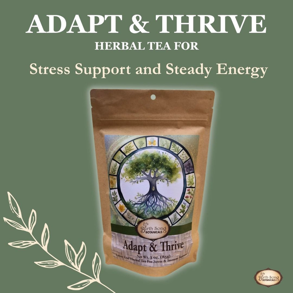 adaptogenic herbal tea, ashwagandha tea, stress support tea, herbal tea for anxiety, cortisol balance support, calm energy tea, hormone balance tea, herbal stress relief, daily wellness tea, immune support herbs, 