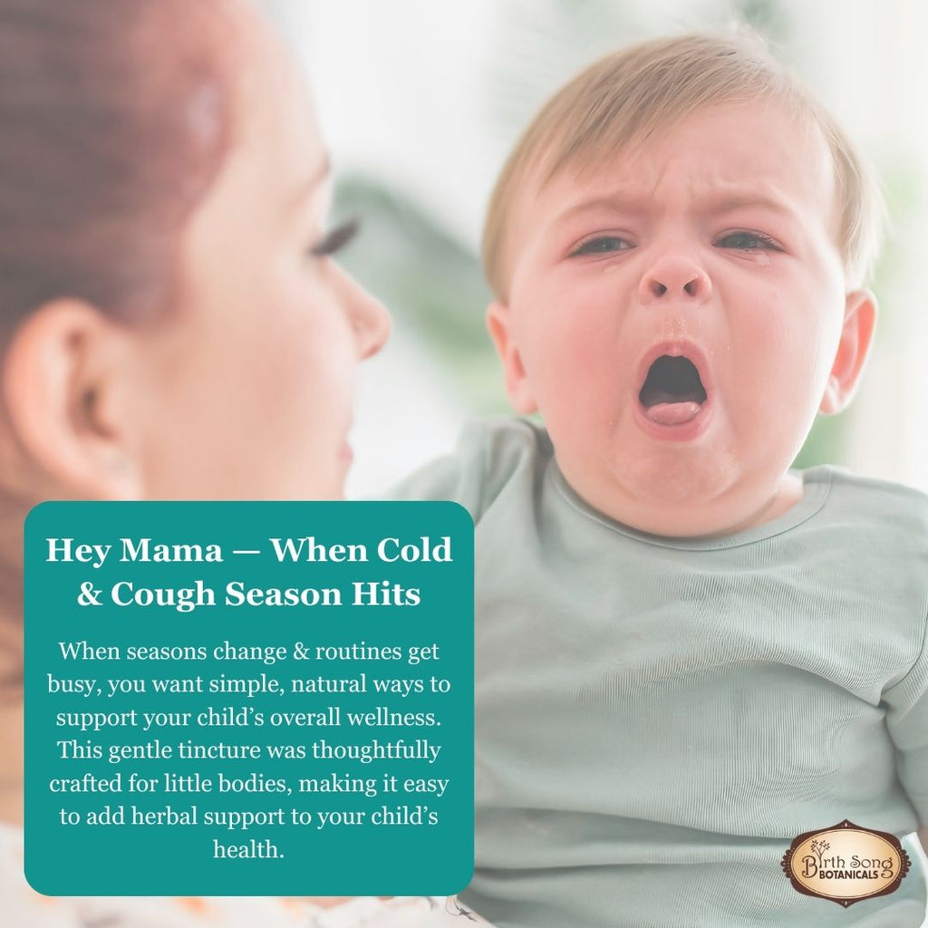 elderberry for children, liquid herbal tincture with elderberry, children's respiratory support supplement, sambucus for kids coughs