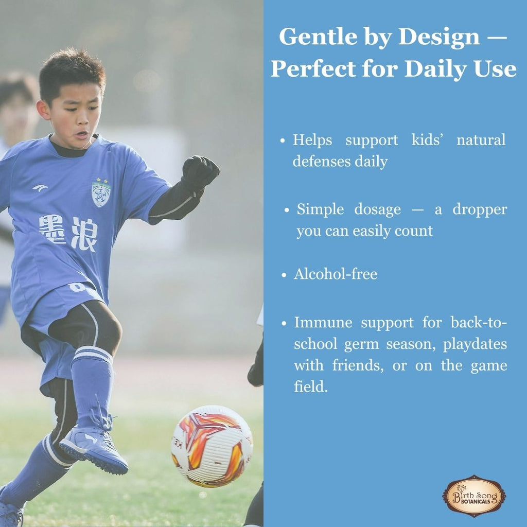 All-natural Children's Daily Immune tincture with astragalus root, immune modulator for young athletes 