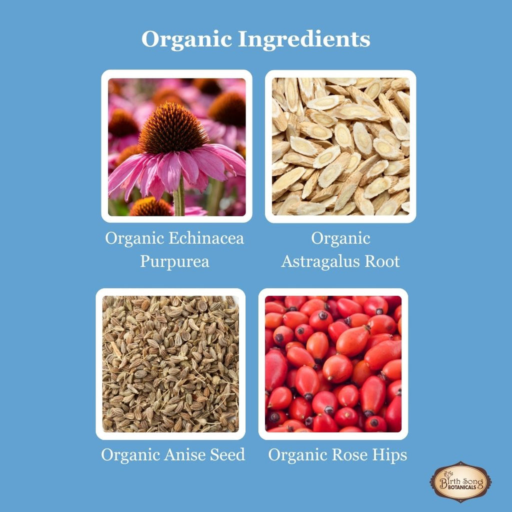 Herbal tincture for Children's Daily Immune, echinacea, astragalus, rose hips 