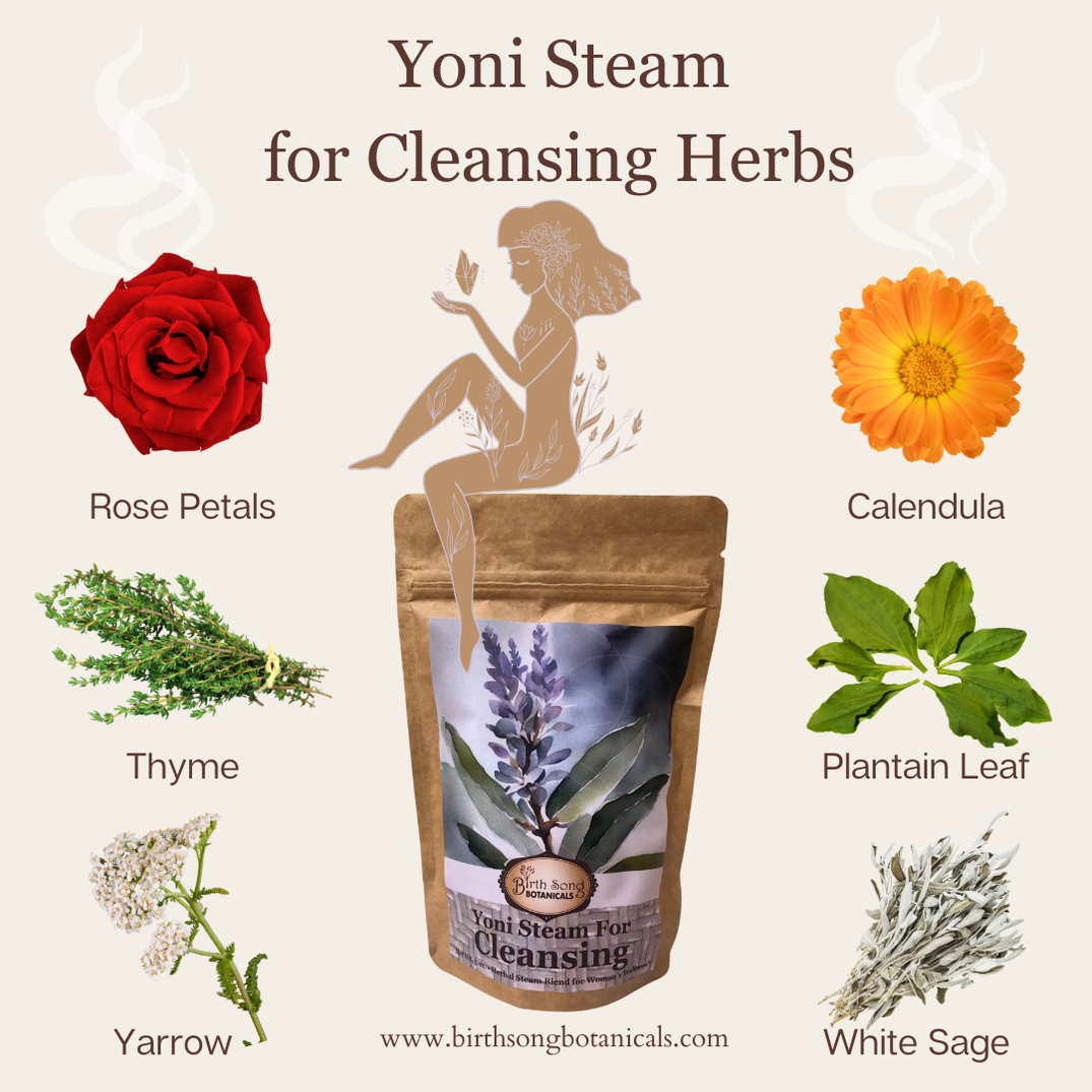 Yoni Steam for Cleansing- V Steam and Womb Blessing Herbs– Birth Song ...