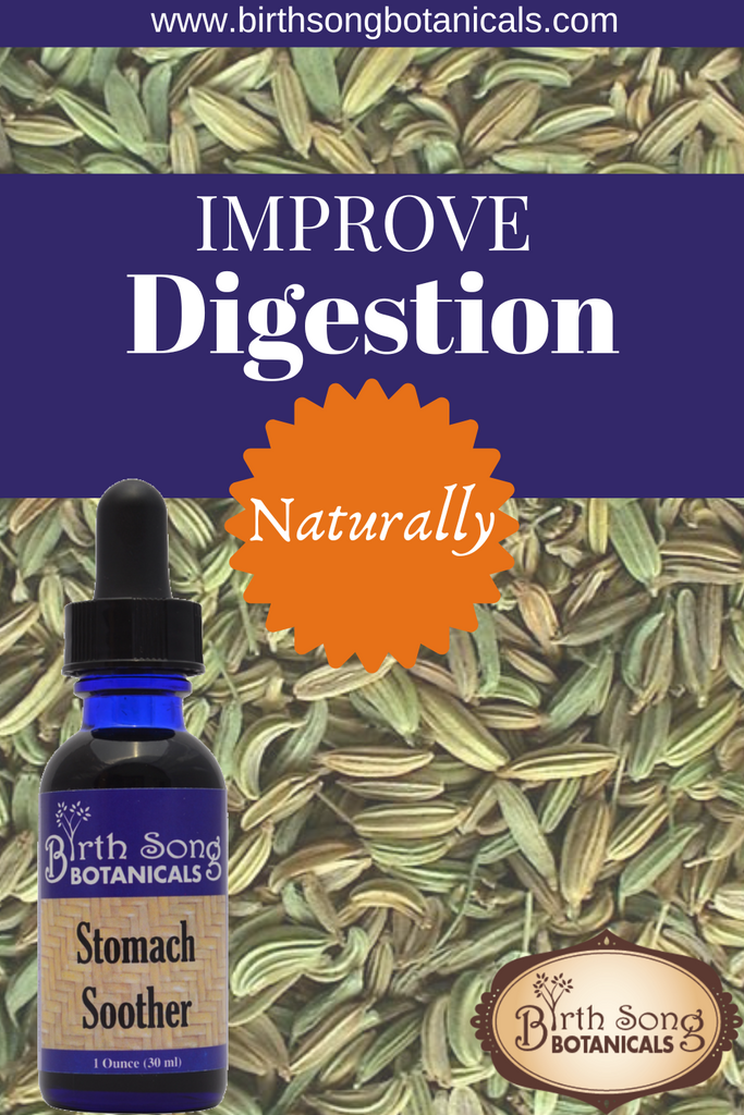 Stomach Soother Herbal Colic Drops for Babies, newborn gas relief drops, tummy drops, baby gas drops, Stomach Soother Digestive Aid, Gas relief supplement, Bloating relief herbal, Indigestion remedy, Morning sickness support, Nausea relief supplement, Motion sickness aid, Ginger digestive aid, Herbal stomach soother, Natural digestive support,  GRED, colicky baby, fussy baby, crying baby