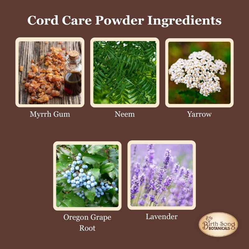 Umbilical Cord Care, cord care Powder, umbilical cord care at home, newborn umbilical cord care, cord care herbs 