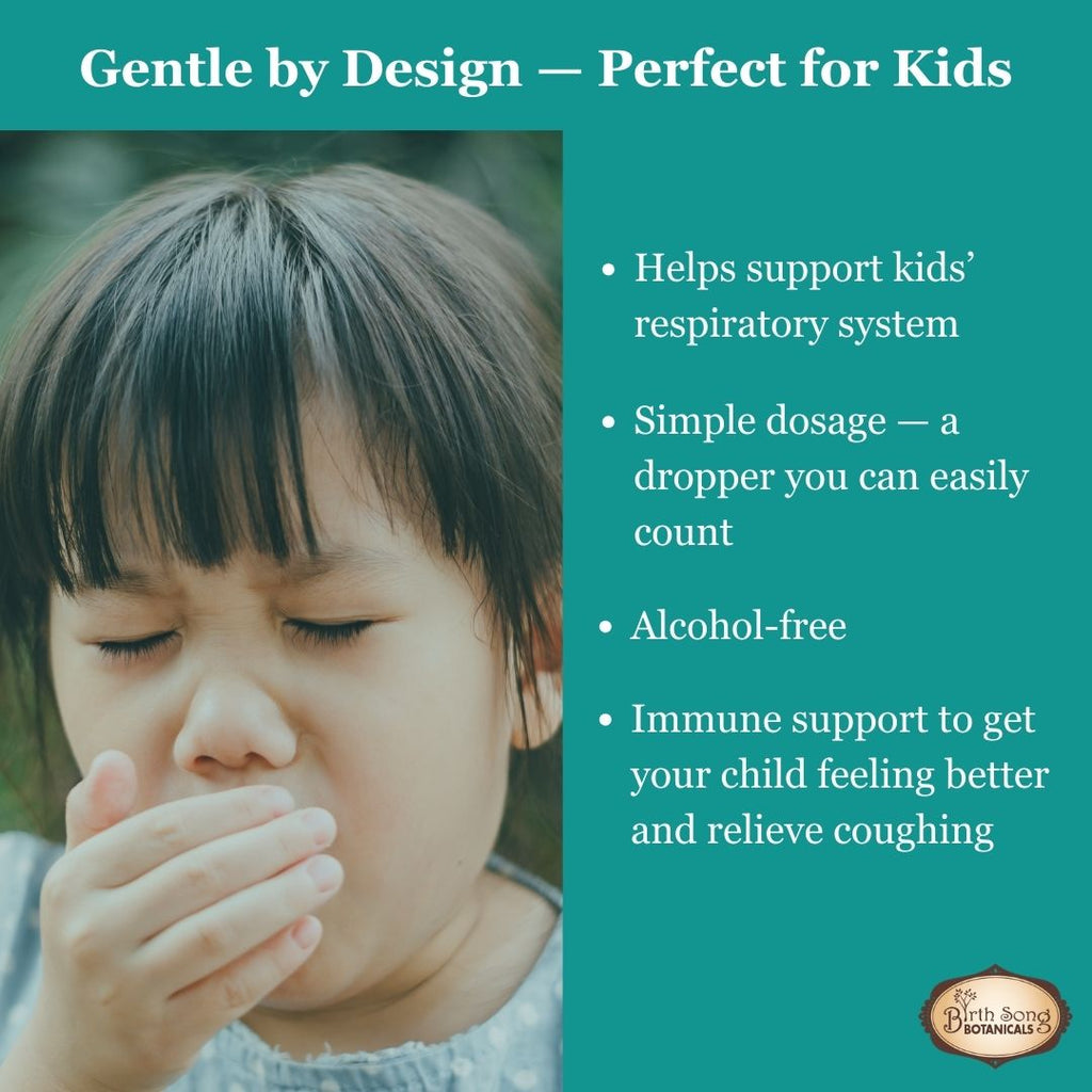 elderberry for children, liquid herbal tincture with elderberry, children's respiratory support supplement, cough syrup
