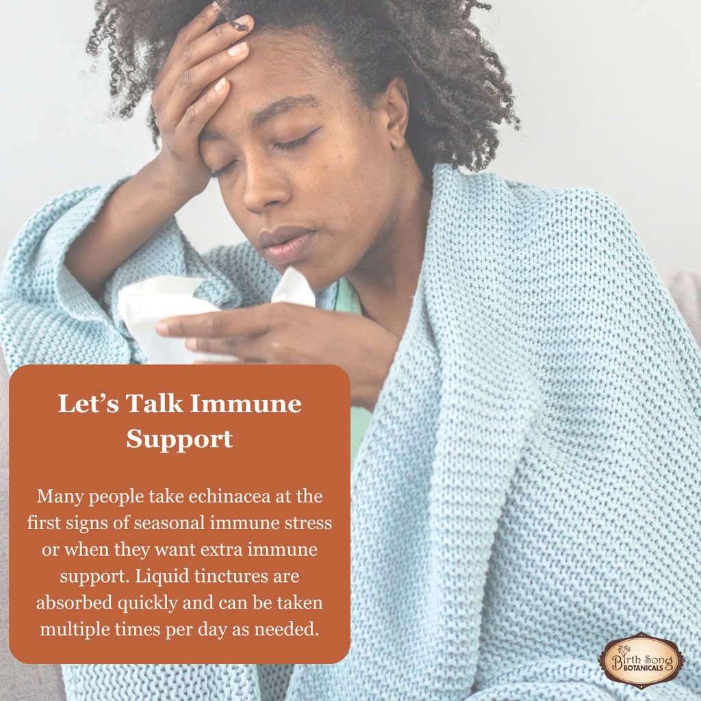 Echinacea, Echinacea tincture, Liquid Echinacea supplement, Echinacea Purpurea, Immune support herbal supplement cold and flu
