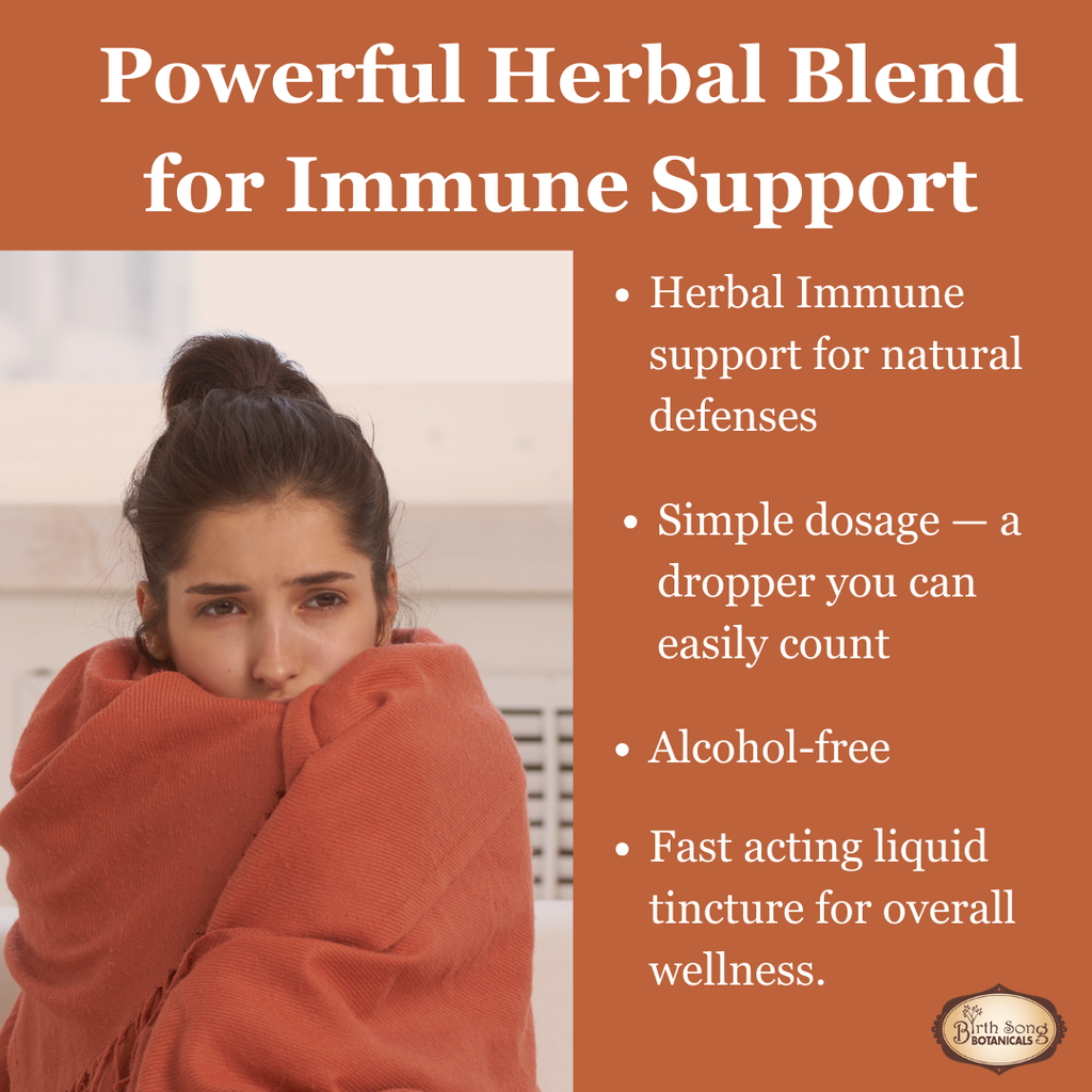 Echinacea, Echinacea tincture, Liquid Echinacea supplement, Echinacea Purpurea, Immune support herbal supplement cold and flu