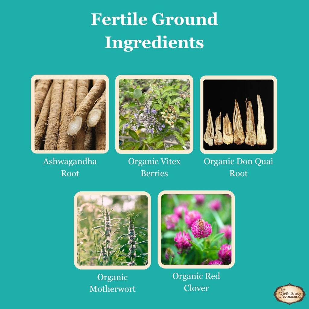 Fertile ground, increase fertility, aid in conception, trying to conceive, herbs for fertility, supplement for fertility, ttc