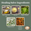 herbal salve, healing salve, Plantain Salve, garden salve, green salve, natural skin care, calendula salve, ingredients