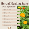 herbal healing salve, green salve, calendula salve, yarrow salve, plantain salve, herbal skin care, natural healing balm, herbal first aid, skin repair salve, tattoo salve, herbal ointment, salve for cuts and scrapes, salve for bug bites, salve for rashes, gardeners hands