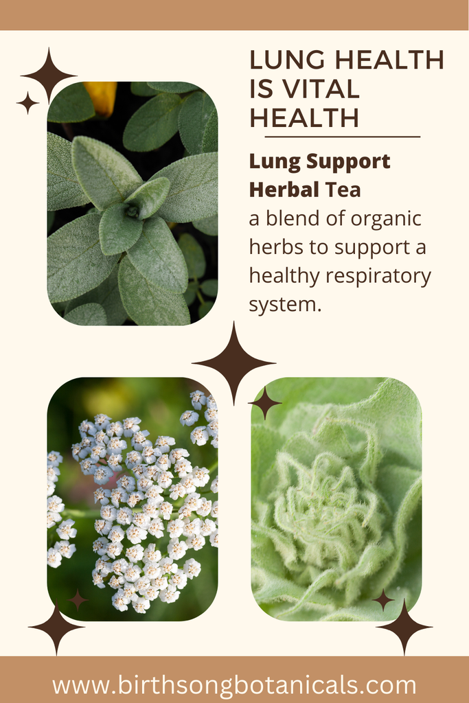 lung support herbal tea, lung health tea, tea for clearing lung congestion, nasal congestion relief tea, sinus congestion relief tea, organic mullein tea, mullein and sage tea, immune tea, tea for respiratory health, mucus clearing, lung detox, clear lungs, Expectorant, decongestion, better breathing, smokers lung