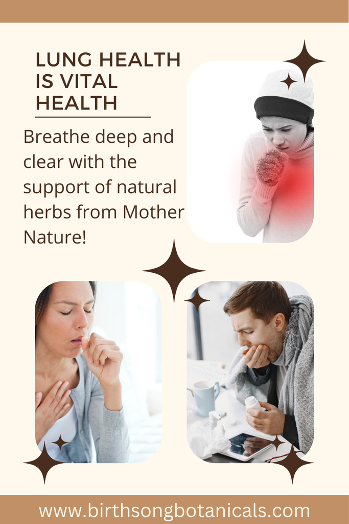 lung support herbal tea, lung health tea, tea for clearing lung congestion, nasal congestion relief tea, sinus congestion relief tea, organic mullein tea, mullein and sage tea, immune tea, tea for respiratory health, mucus clearing, lung detox, clear lungs, Expectorant, decongestion, better breathing, smokers lung