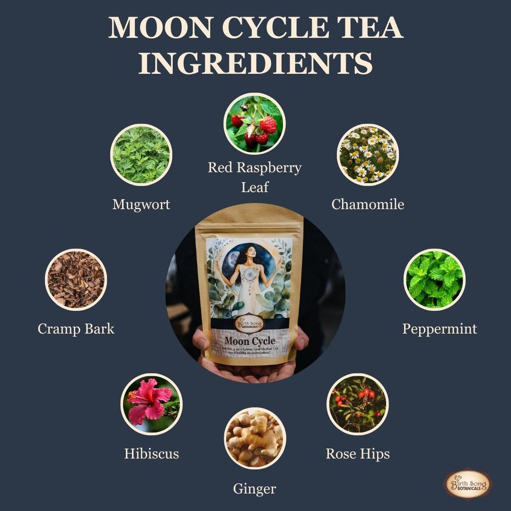 Mugwort tea, menstrual cycle tea, moon tea, moon herbs, menstrual herbs, period support, period cramps, menstrual cramps, pms