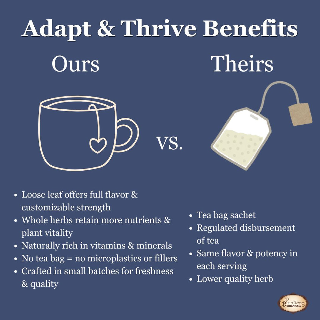 sleep tea, calming tea for anxiety, chamomile lavender tea, herbal tea for sleep, digestive support tea, fennel tea benefits, relax and unwind tea, bedtime tea blend,, gut health tea, stress relief tea, calming herbal infusion