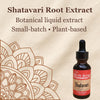 Shatavari, shatavari benefits, libido, adaptogen, herbs for women, perimenopause supplement, libido in women, natural hormones