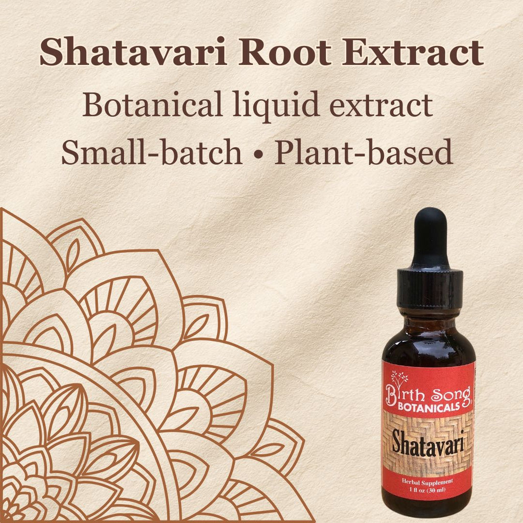 Shatavari, shatavari benefits, libido, adaptogen, herbs for women, perimenopause supplement, libido in women, natural hormones