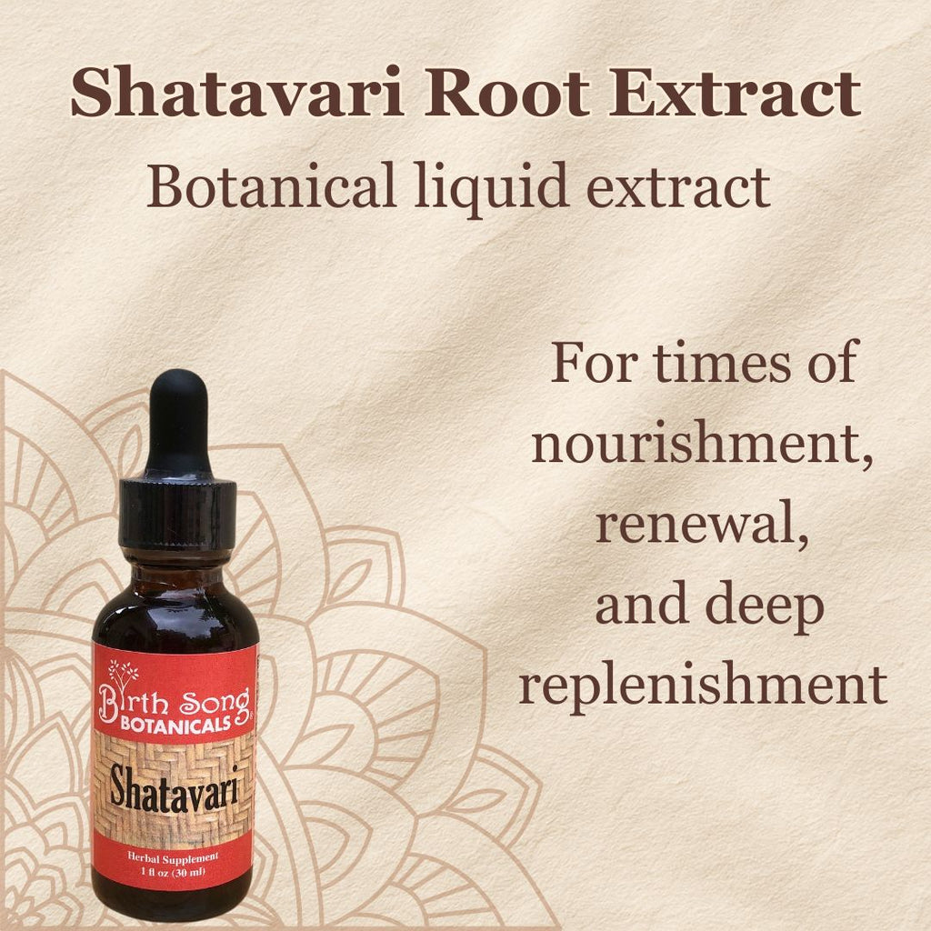 Shatavari, shatavari benefits, libido, adaptogen, herbs for women, perimenopause supplement, libido in women, natural hormones