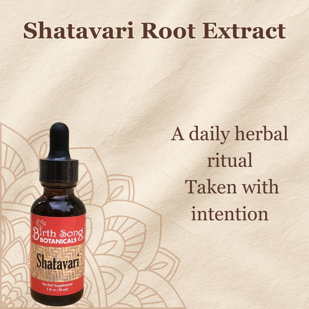 Shatavari, shatavari benefits, libido, adaptogen, herbs for women, perimenopause supplement, libido in women, natural hormones