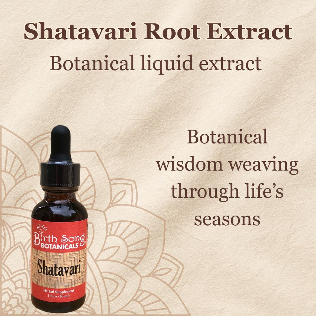 Shatavari, shatavari benefits, libido, adaptogen, herbs for women, perimenopause supplement, libido in women, natural hormones