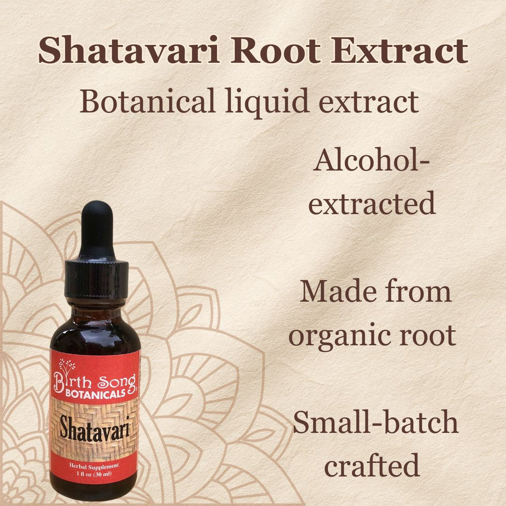 Shatavari, shatavari benefits, libido, adaptogen, herbs for women, perimenopause supplement, libido in women, natural hormones